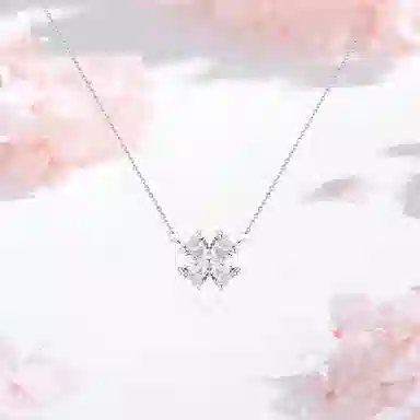 SHK