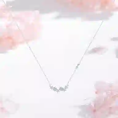 SHK