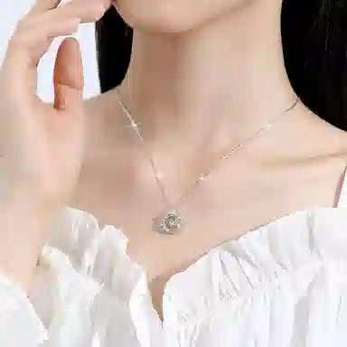 ins S999