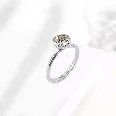 ROGA ins 925