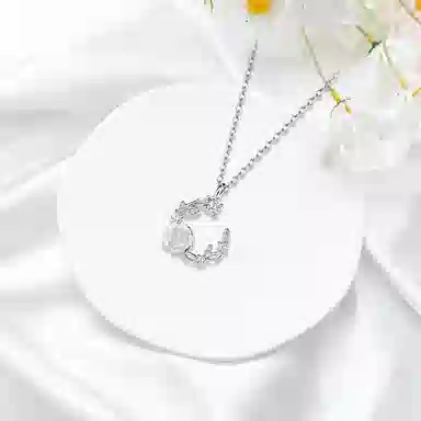 ROGA S925