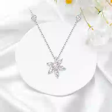ROGA S925