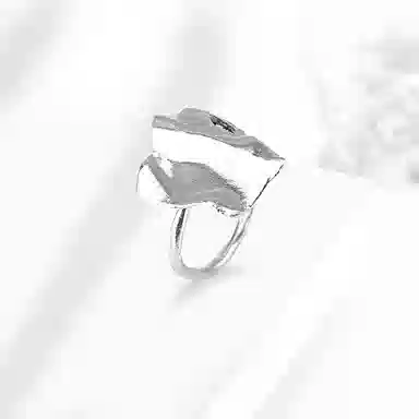ROGA ins 925