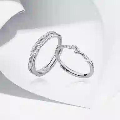 ROGA