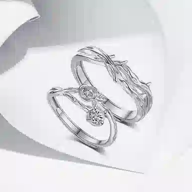 ROGA S999