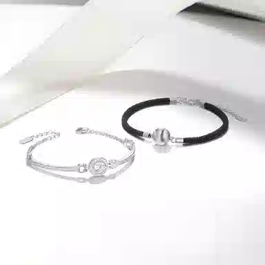 ROGA ins
