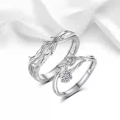 ROGA S999