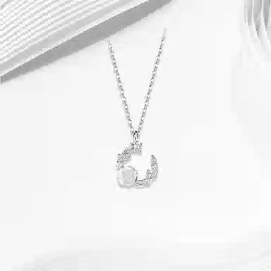 ROGA S925