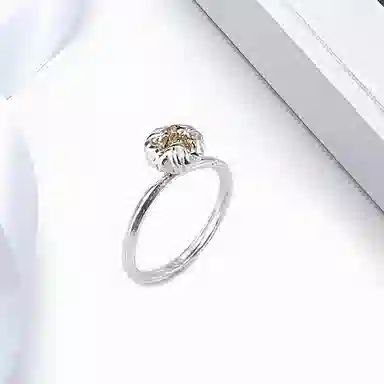 ROGA ins 925