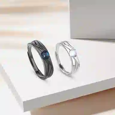 ROGA ins