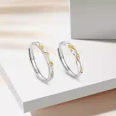 ROGA S999