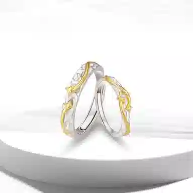 ROGA S925