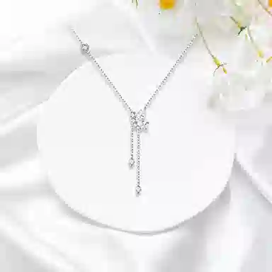 ROGA S925