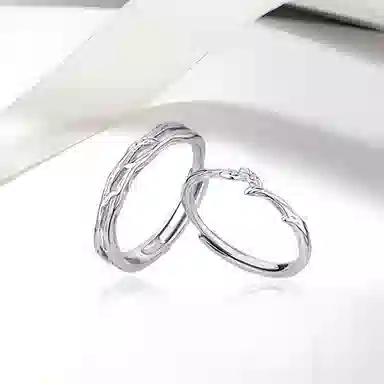 ROGA