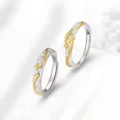 ROGA S925