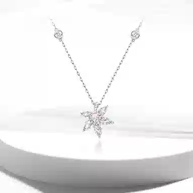 ROGA S925