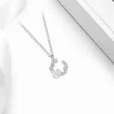 ROGA S925