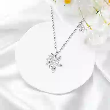 ROGA S925
