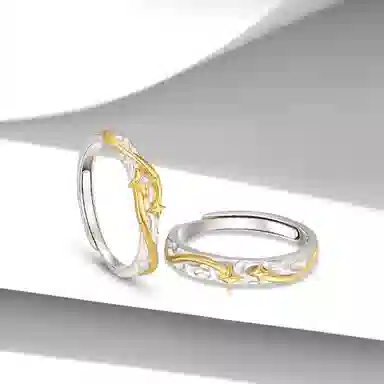 ROGA S925