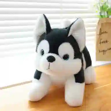 LEBOW 23cm35cm45cm65cm