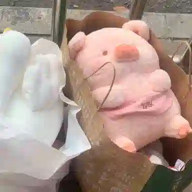 lulu 30cm35cm45cm55cm40cm50cm