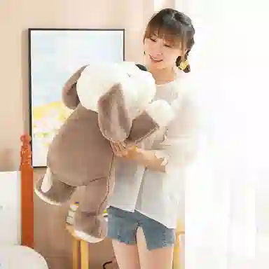 LEBOW 38cm48cm55cm65cm