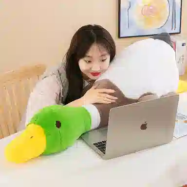 LEBOW 75cm100cm120cm160cm