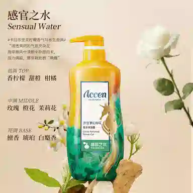 ACCEN 580g