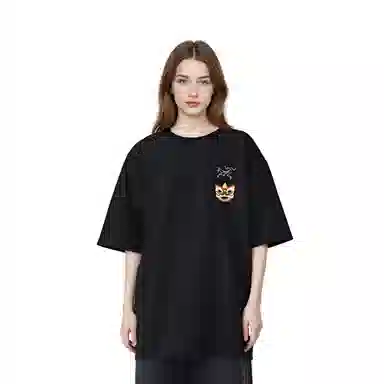 Arcteryx Extraordinary LogoT