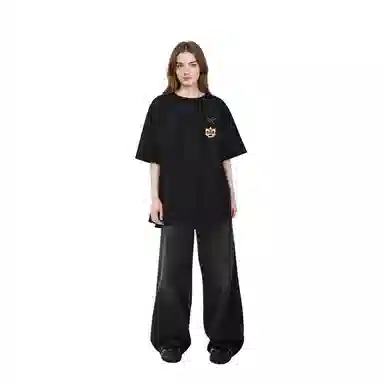 Arcteryx Extraordinary LogoT