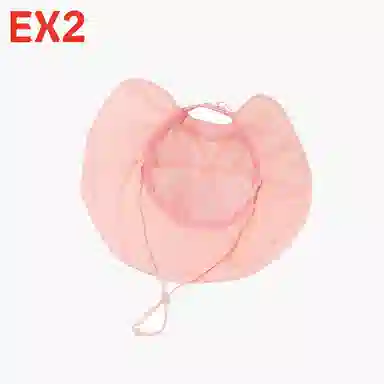 EX2