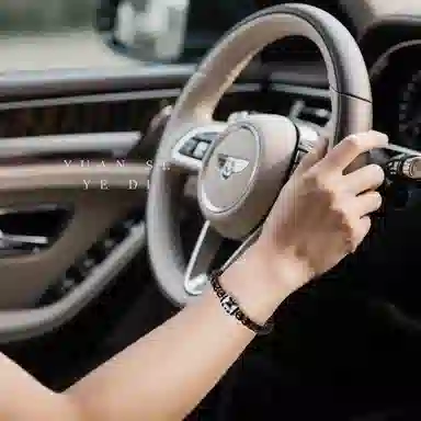 木盛缘 【三眼天珠幸运符心态稳定剂】新中式国潮复古潮流木带宝高抛原色好运 椰蒂 手串 男款