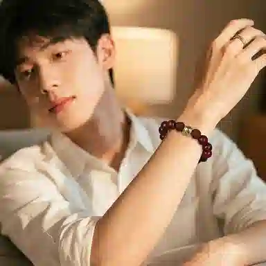 木盛缘 【吸金貔貅】新中式国潮招财纳福男朋友父亲可转动护身符平安解压文玩盘玩好运小叶佛珠 紫檀属 木作手串 男女同款情侣款