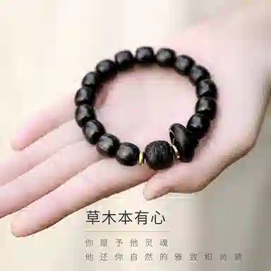 木盛缘 新中式国潮八方来财高油高密佛珠念珠文玩 黑檀 手串 男女同款情侣款