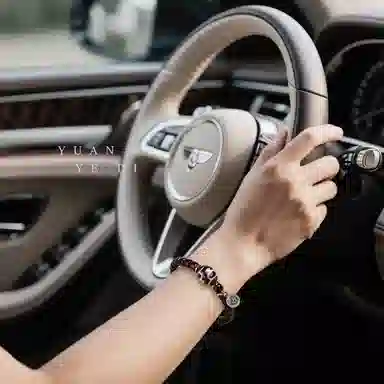 木盛缘 坚韧不屈搭高油高密桶珠文玩盘玩#好运 椰蒂 手串 男女同款情侣款