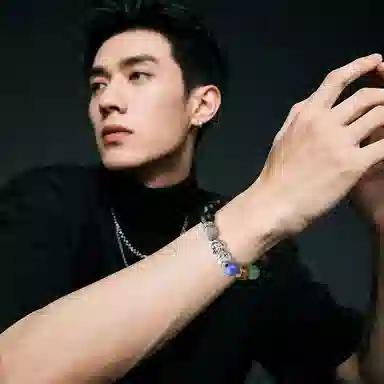 木盛缘 【貔貅  招财好运】多宝貔貅 黑檀 手串 男女同款情侣款