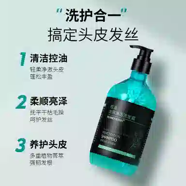 HUANGYAOSHI 480ml