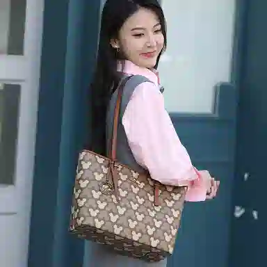 Disney PU
