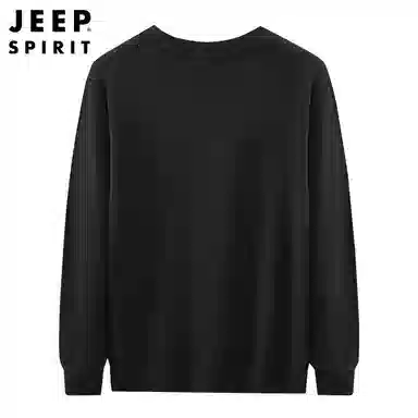 JEEP SPIRIT T