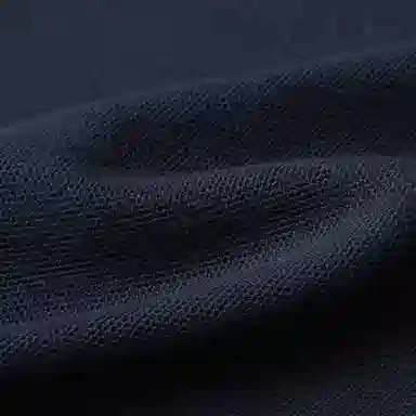 GANT Polo