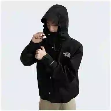 THE NORTH FACE 1986 logo