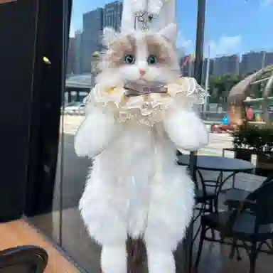 VIHUS Backpack White