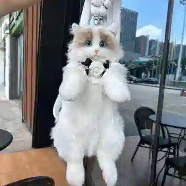 VIHUS Backpack White