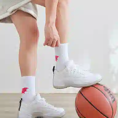 Fuying Shadow Series