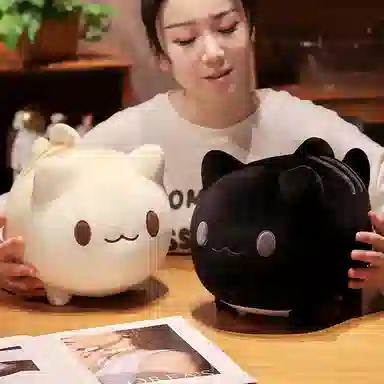 20cm25cm