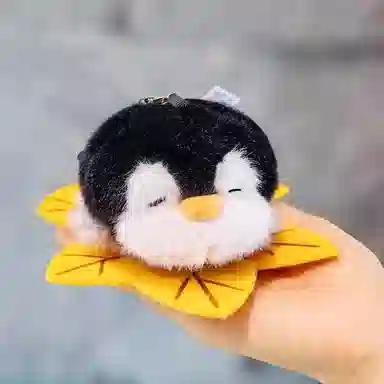 12cm