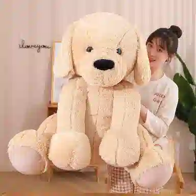 60cm80cm