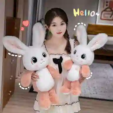 40cm55cm70cm