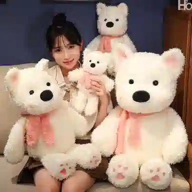 30cm50cm