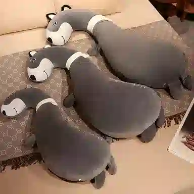100cm130cm160cm